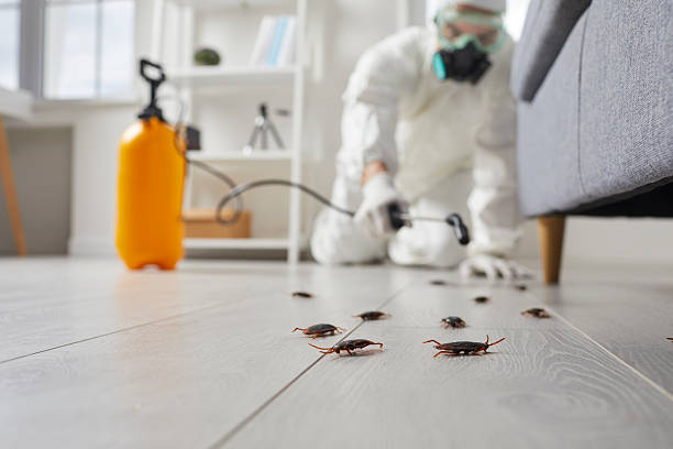 Post-Treatment Bed Bug Interceptor Monitoring in Farrell
