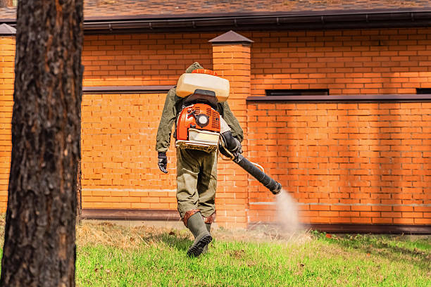 Bed Bug Clearance Verification and Documentation in Farrell